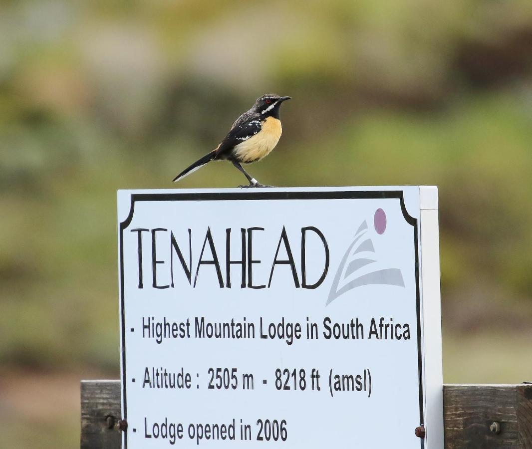 Tenahead Lodge & Spa Родос Экстерьер фото